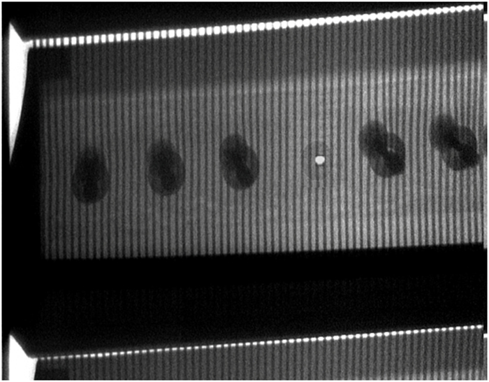 水泥廠(chǎng)用斗提機(jī)檢測(cè)裝置(圖6) 2-220302144916226.jpg